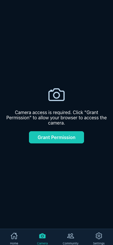 GraphixCamera live camera with filters